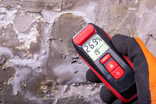 Trusted Sappington, MO Mold Removal Experts