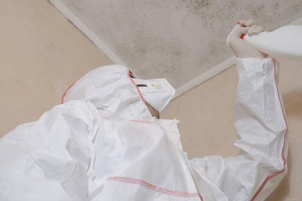 Best Residential Mold Removal  in Sappington, MO